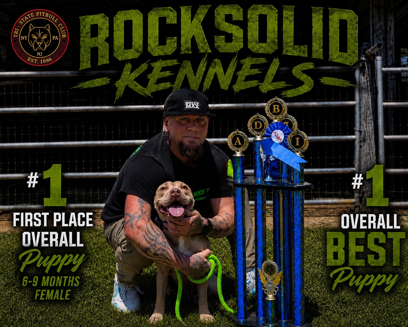 Rocksolid Kennels award