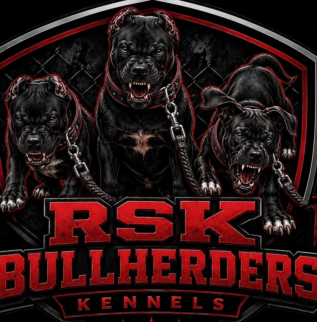 Rocksolid Kennels puppy award